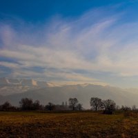 Красота рядом с нами :: Евгения Беркина