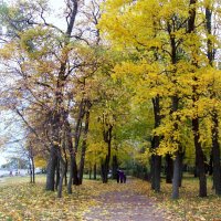 Осень в Петергофе :: alemigun 