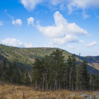 октябрьский пейзаж в горах :: Жанна 