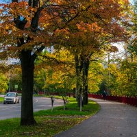 Буйство красок :: Михаил Фотолюбитель