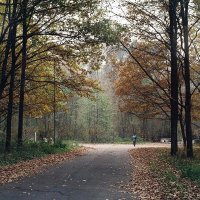 Осень в парке :: Сергей Тарабара