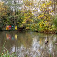 В южном парке, Дюссельдорф, осень, ноябрь :: Witalij Loewin