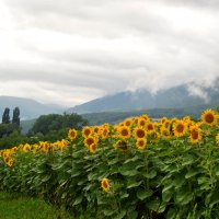 Швейцария :: Натали Пам