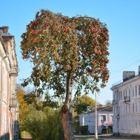 По старым новгородским улочкам (этюд 2) :: Константин Жирнов