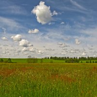 Родные просторы :: Людмила Василькова