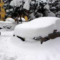 Алматы завалило снегом. :: Anna Gornostayeva
