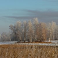 Сюрпризы осени. :: nadyasilyuk Вознюк