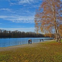 Солнечный ноябрьский денёк на озере... :: Galina Dzubina