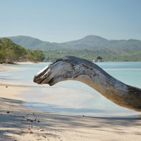 Punta Rucia, Dominican Republic :: KS Photo