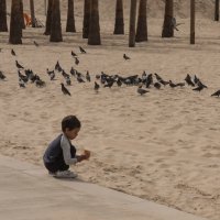 Ребёнок и птицы :: Alla Shapochnik