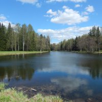 Павловск весной. :: Лариса (Phinikia) Двойникова