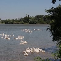 Река Кирпили :: Олег Афанасьевич Сергеев