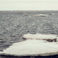 Белое море :: Наталья Копылова