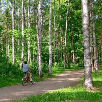 В парке :: Вера Щукина