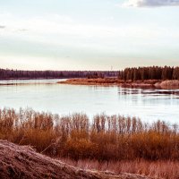 Северная Двина :: Наталья Копылова