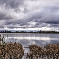 Свет можно найти даже в самый пасмурный день :: Алеся Пушнякова