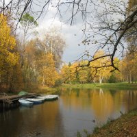 Осень в Павловске. :: Лариса (Phinikia) Двойникова