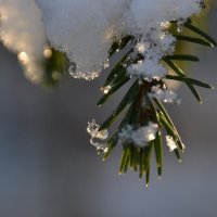Зима... :: Александр Филатов