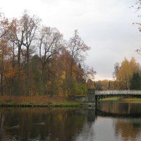 Осенний Павловск. :: Лариса (Phinikia) Двойникова