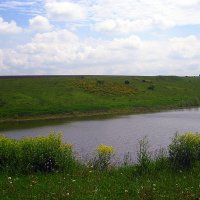 Летний пейзаж с прудом. :: оля san-alondra