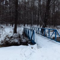 Голубой. Не подумайте что-нибудь дурное :: Андрей Лукьянов