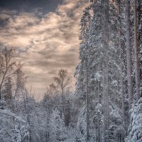 Вечереет :: Борис Устюжанин