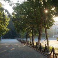 Утро в парке :: Наталья Гринченко