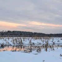 оттеплило :: сергей 