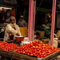 Tomato trader :: The heirs of Old Delhi Rain
