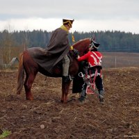 Тренировка перед боем :: Андрей Буховецкий