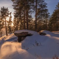 ***** :: Дамир Белоколенко