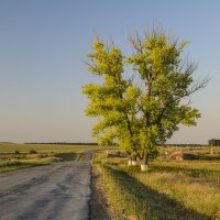 Опять вечер :: Константин Бобинский