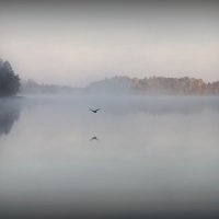 Туман на озере :: Виктория Гринчук