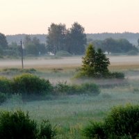 туманное утро :: Людмила Романова