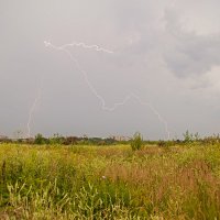 Предвестники грозы :: Антон Родионов