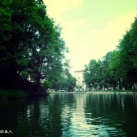Озеро. :: Tatyana 