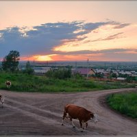 Возвращение домой на закате дня :: galina tihonova