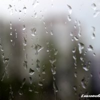 Дождь :: Екатерина Миллер
