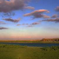 Берега р.Сырдарья, Казахстан :: Игорь Кирпатовский