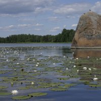 ... :: Сергей Глотов