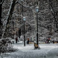 Прогулки с детьми в парке. :: Василий Ярославцев