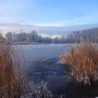 В Калининград ненадолго заглянула зима :: Маргарита Батырева