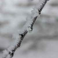 зима :: Наташа Пасакас