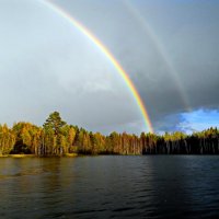 После сильного дождя... :: Владимир Ильич Батарин