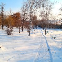 Хорошо прогуляться по зимнему парку! :: Андрей Заломленков