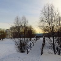 Настоящая зима :: Андрей Лукьянов