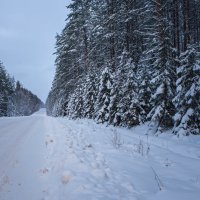 Зимняя дорога. :: Сергей Сотников