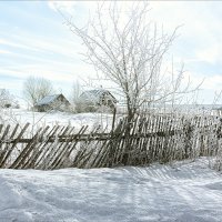 Утро в деревне... :: Александр Никитинский