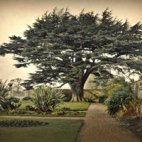 Canons Ashby :: Анна Браун 