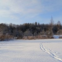 Зимний пейзаж :: Милешкин Владимир Алексеевич 